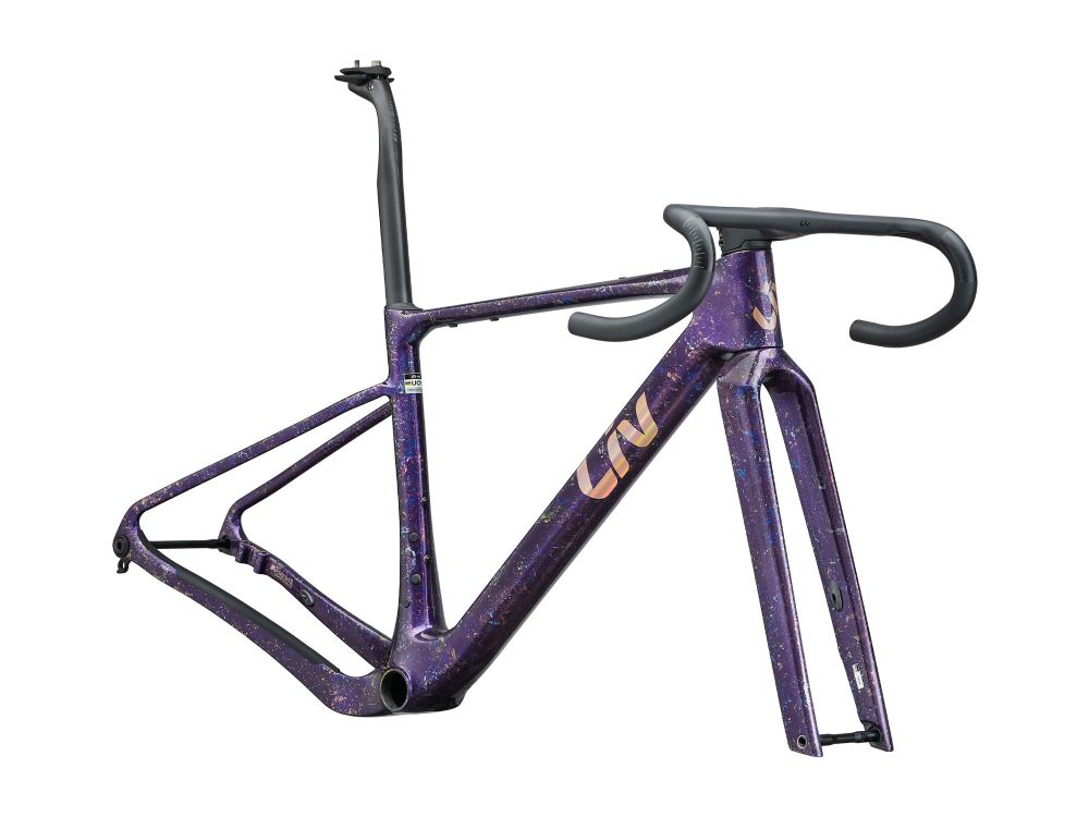 GIANT ( ジャイアント ) ロードフレーム DEVOTE ADVANCED SL FRAMESET