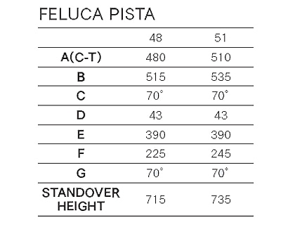 GIOS ( ジオス ) ミニベロ FELUCA PISTA ( フェルーカ ピスタ ) ジオス