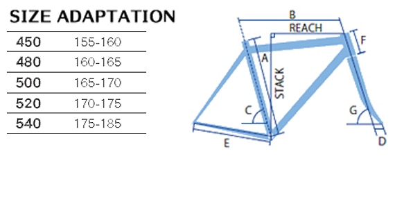 22fenice_geo1