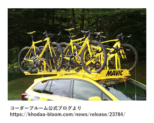 MAVICニュートラルバイク