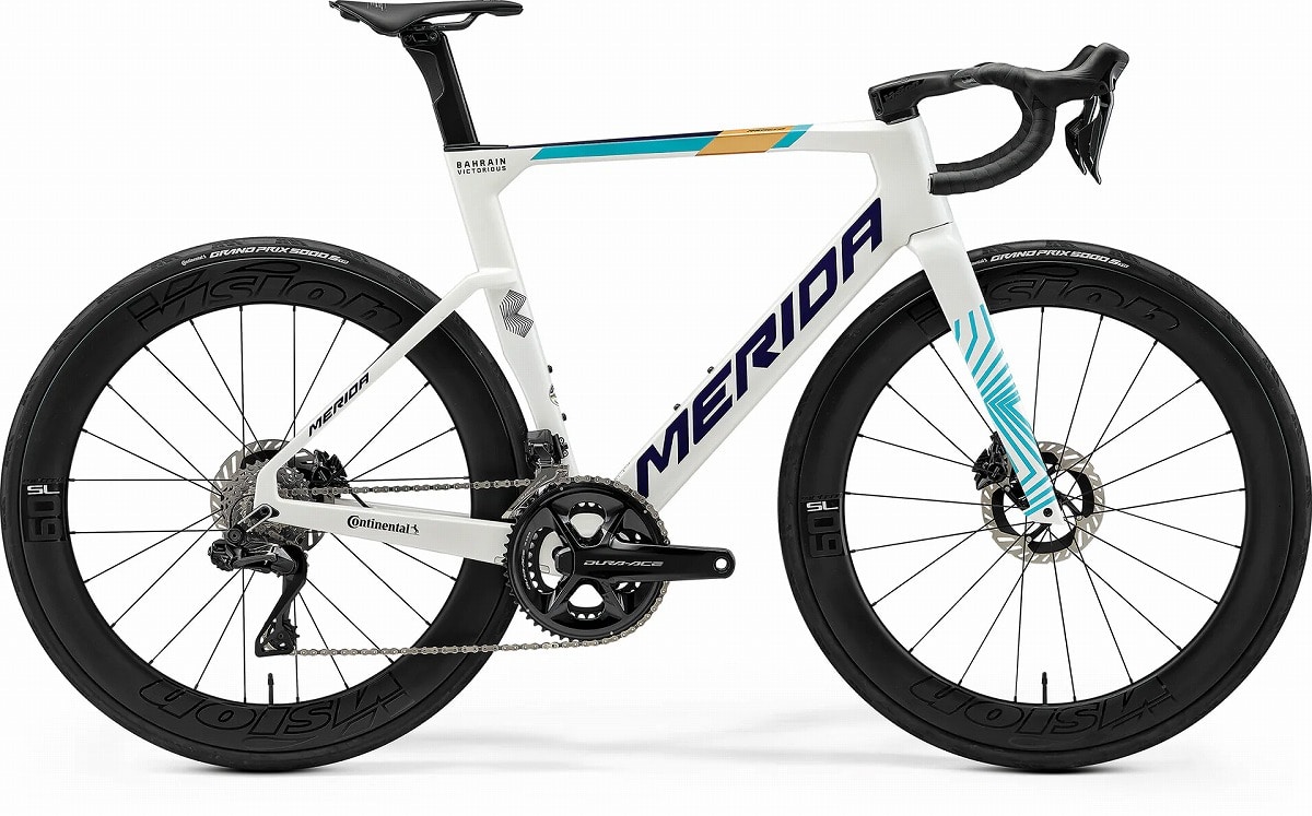 PEARL(BLUE_TEAM)(CY25)bEW57