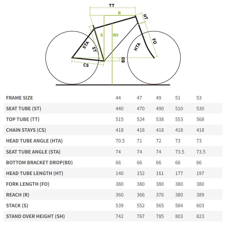 �W�I���g��