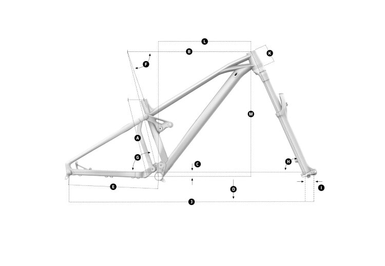 FOXY R�W�I���g��