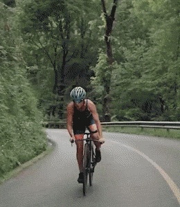 GIF�̃v���r���[