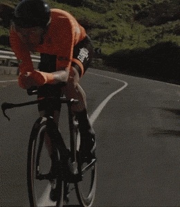 GIF�̃v���r���[