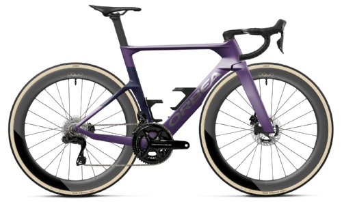 ROYAL PLUM MATT - FANTASY PURPLE CARBON VIEW GLOSS