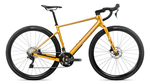 Bumblebee Yellow - Brown (Gloss)