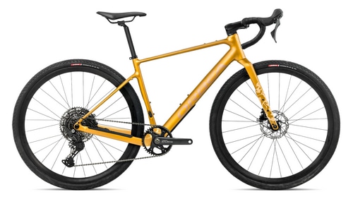 Bumblebee Yellow - Brown (Gloss)