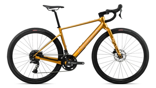 Bumblebee Yellow - Brown (Gloss)
