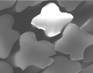 �ڐG�⊴+�z������