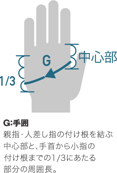 サイズチャート画像