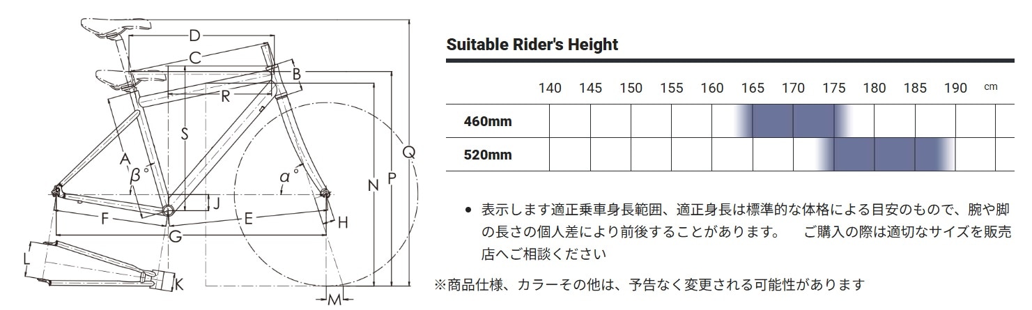 サイズチャート画像