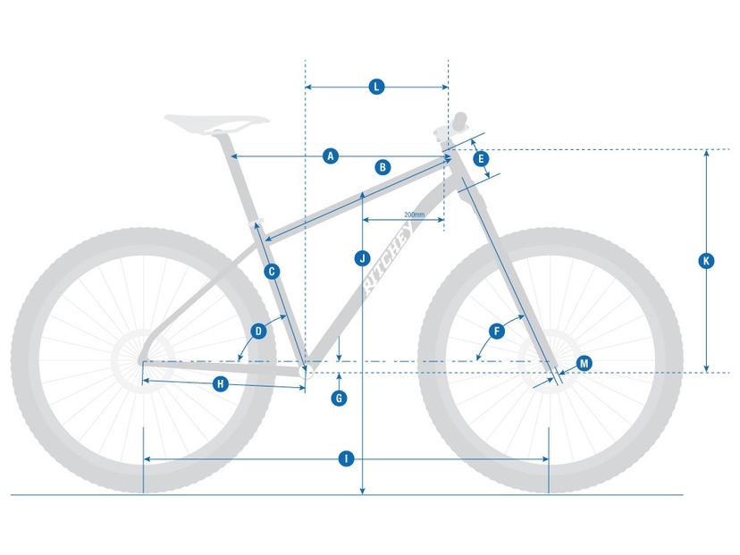 �W�I���g��