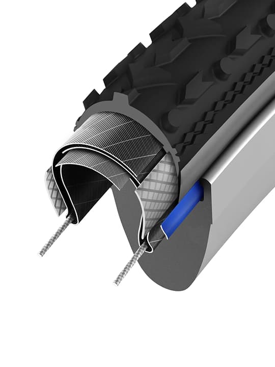 �r�[�h�V�[���h