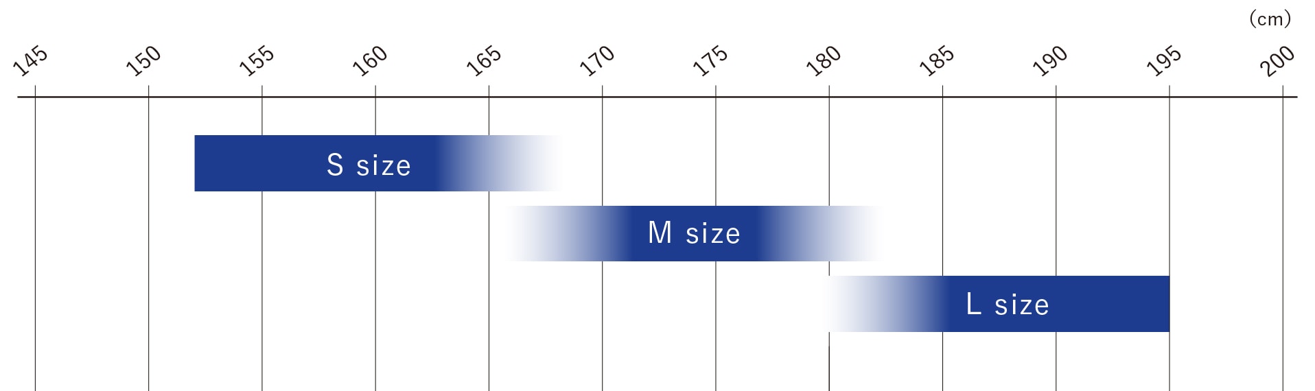 サイジング画像