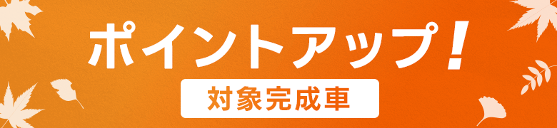 完成車 ポイント5倍 対象車体