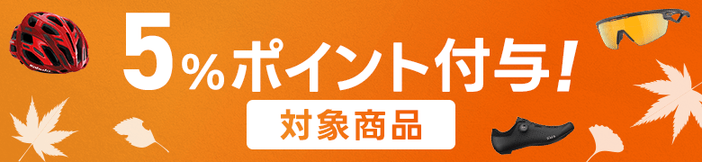 身体アクセサリーポイント5倍