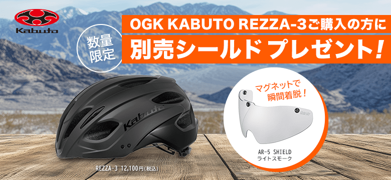数量限定 別売りシールドプレゼント