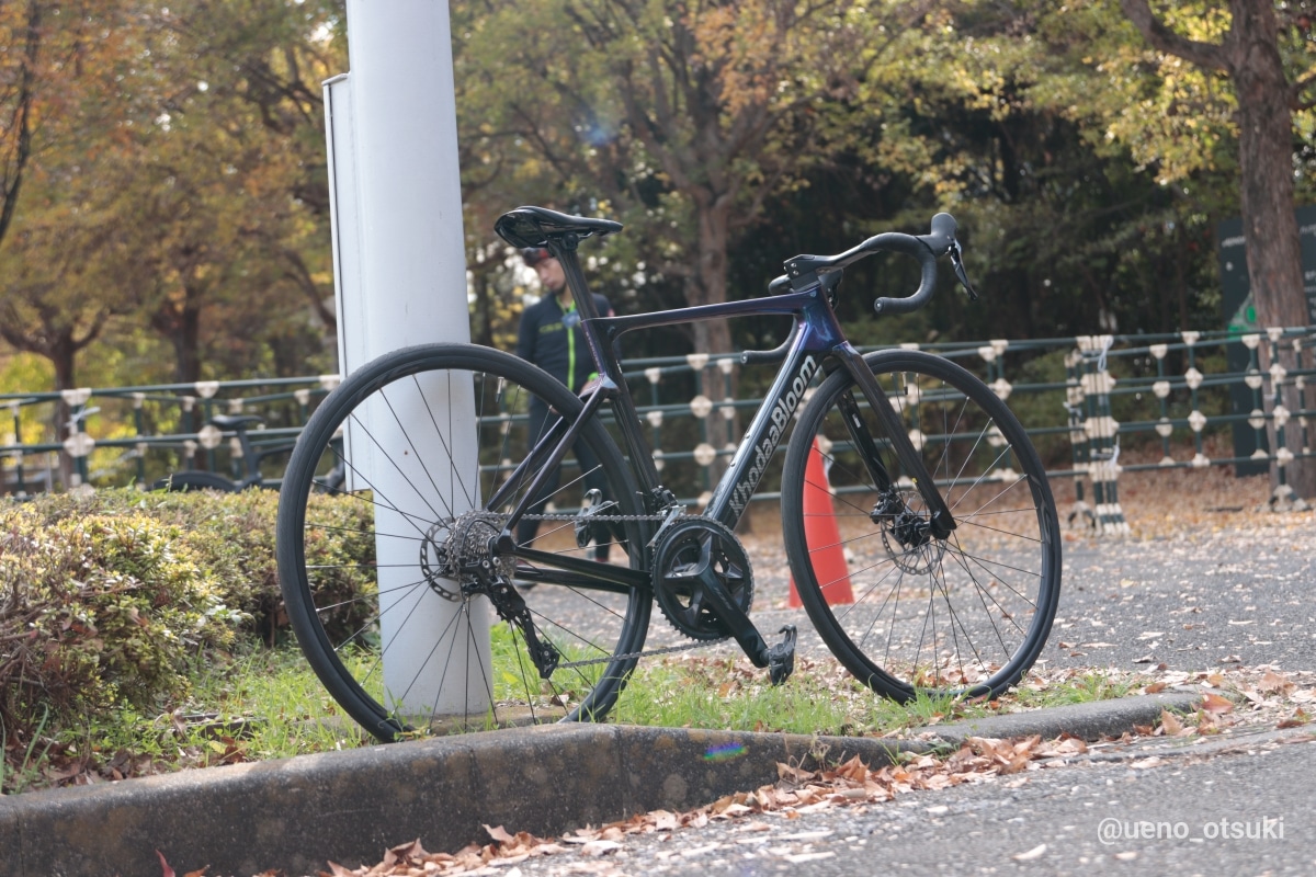 KHODAABLOOM STRAUSS PRO3 SL