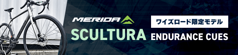 MERIDA SCULTURA ENDURANCE CUES